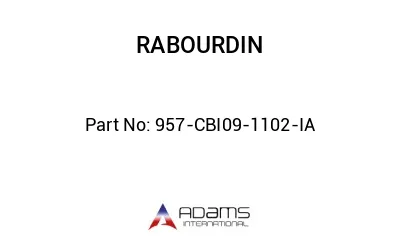 957-CBI09-1102-IA
