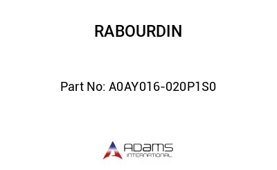 A0AY016-020P1S0