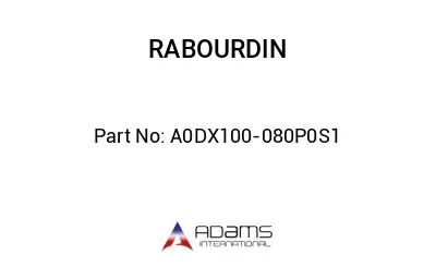 A0DX100-080P0S1