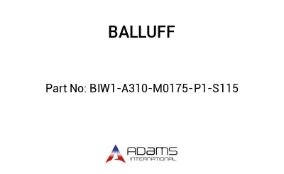 BIW1-A310-M0175-P1-S115									