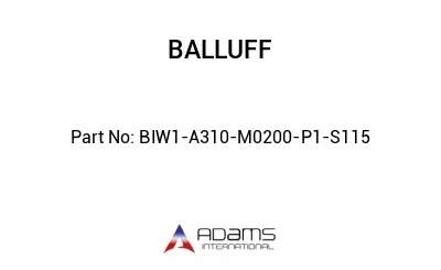 BIW1-A310-M0200-P1-S115									