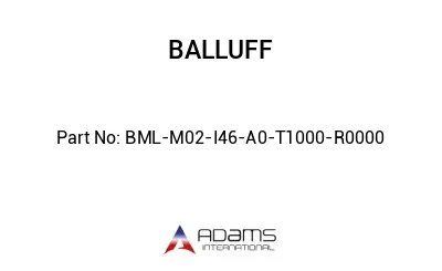 BML-M02-I46-A0-T1000-R0000									