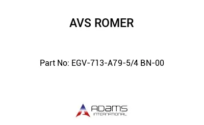 EGV-713-A79-5/4 BN-00 EGV-713-A79-5/4 BN-00